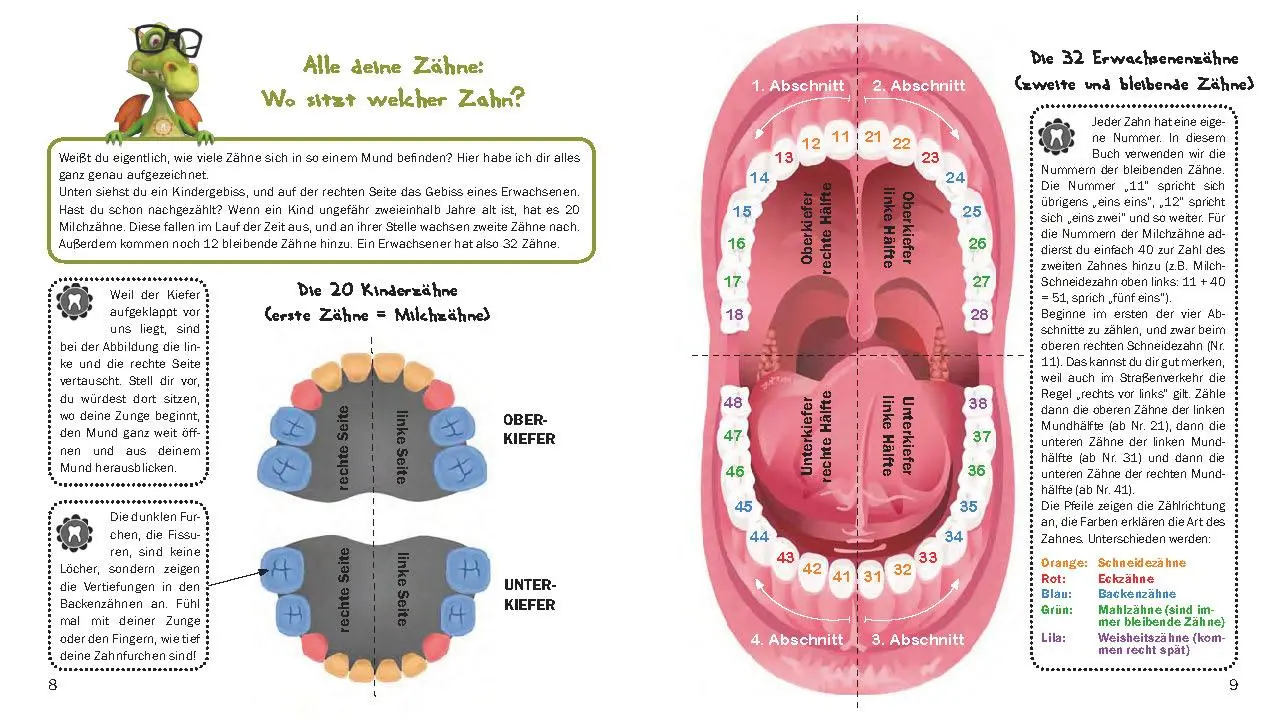 Bild: 9783902943156 | Alle meine Zähne | Caroline Oblasser | Taschenbuch | 88 S. | Deutsch