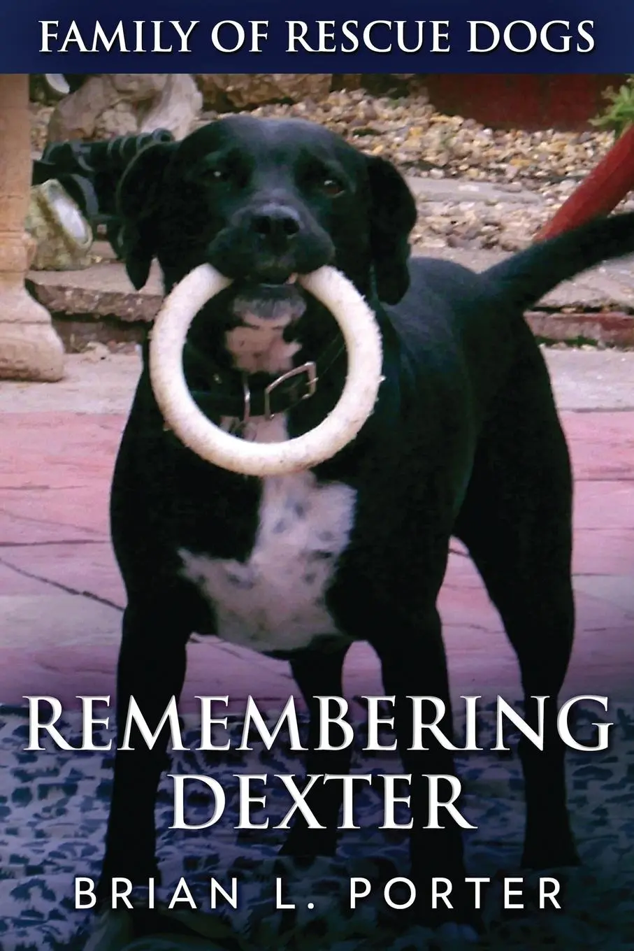 Cover: 9784867513156 | Remembering Dexter | Brian L. Porter | Taschenbuch | Englisch | 2021