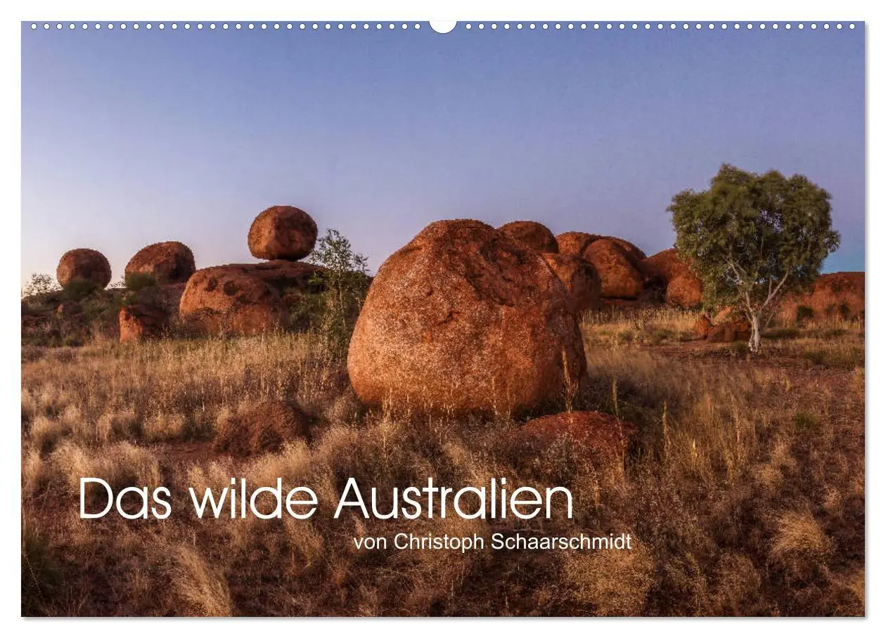 Cover: 9783457743256 | Das wilde Australien (Wandkalender 2026 DIN A2 quer), CALVENDO...