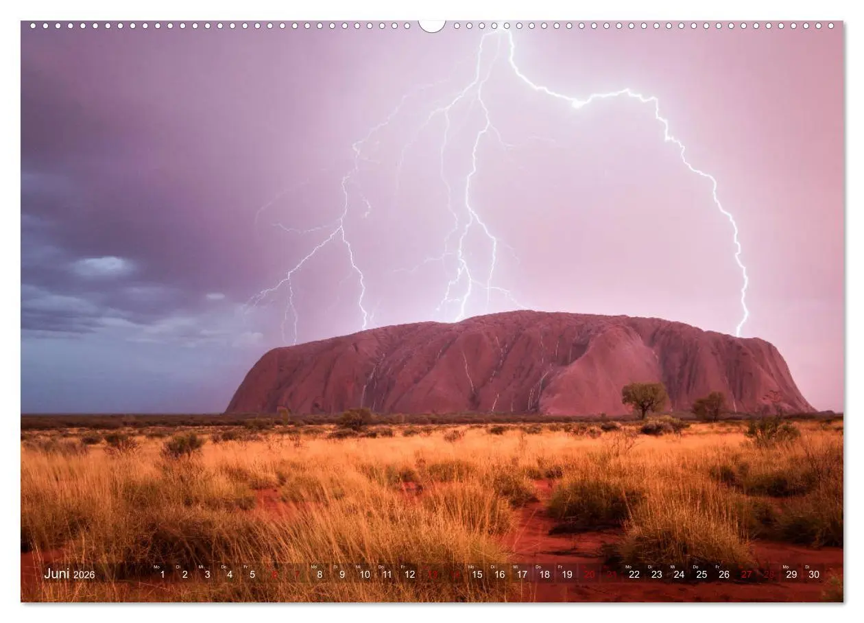 Bild: 9783457743256 | Das wilde Australien (Wandkalender 2026 DIN A2 quer), CALVENDO...
