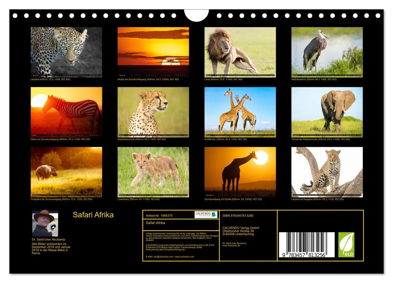 Bild: 9783457813256 | Safari Afrika (Wandkalender 2026 DIN A4 quer), CALVENDO Monatskalender