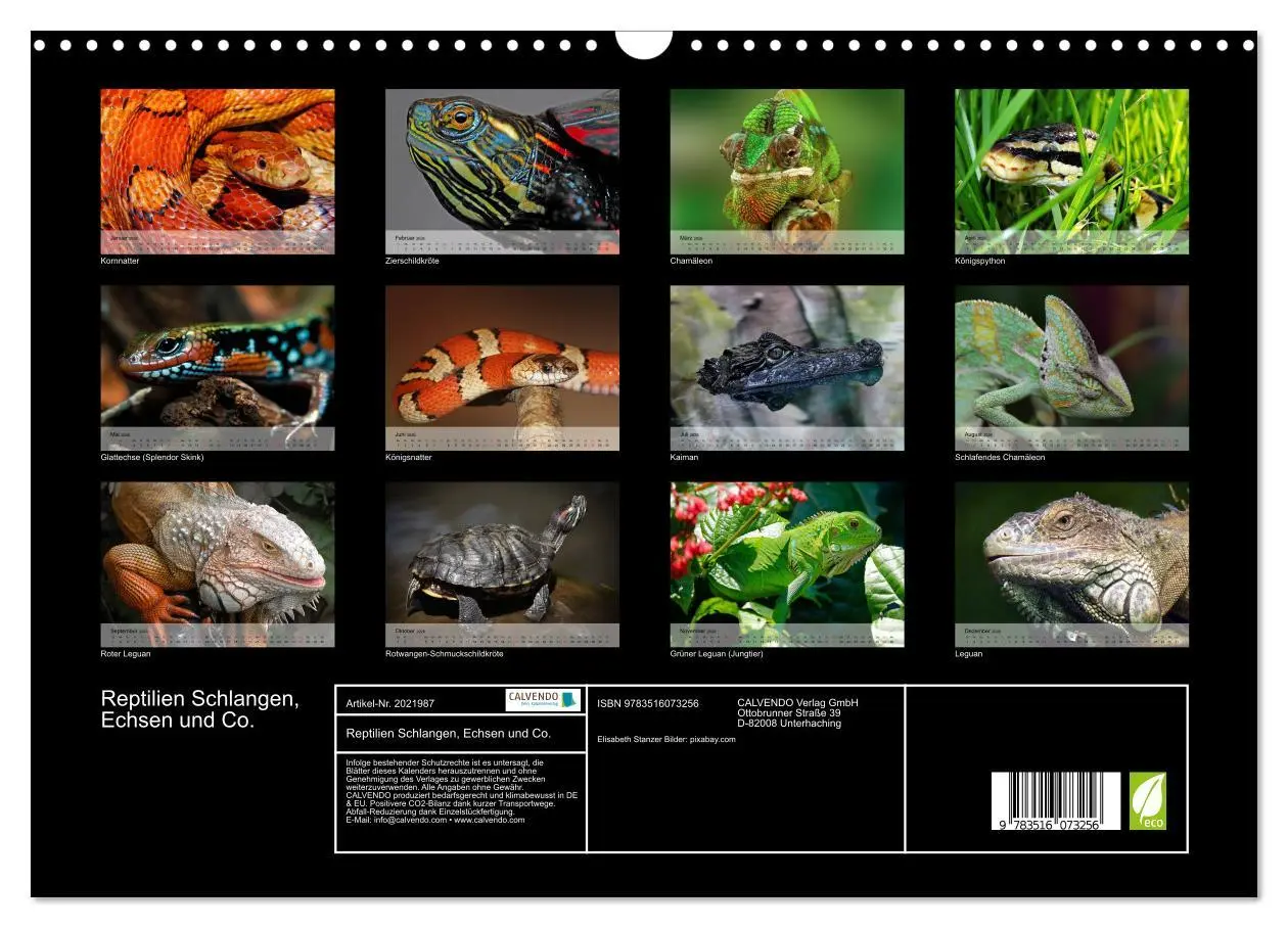 Bild: 9783516073256 | Reptilien Schlangen, Echsen und Co. (Wandkalender 2026 DIN A3...