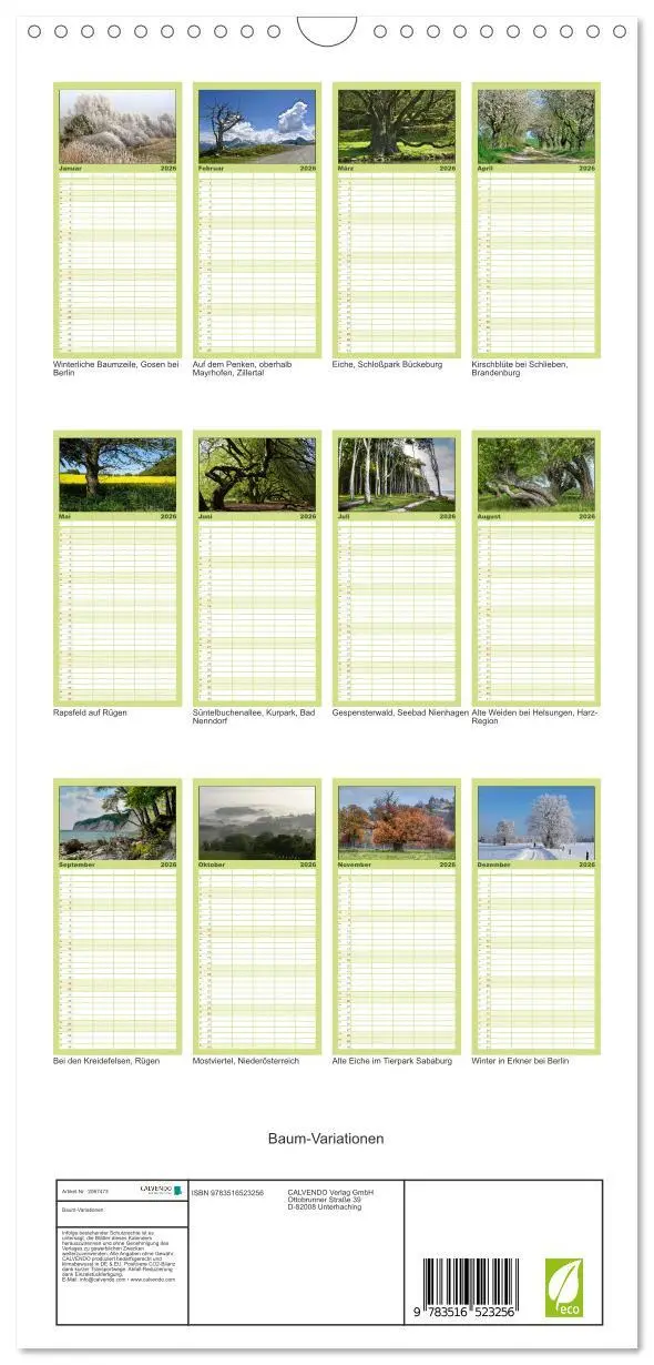 Bild: 9783516523256 | Familienplaner 2026 - Baum-Variationen mit 5 Spalten (Wandkalender,...