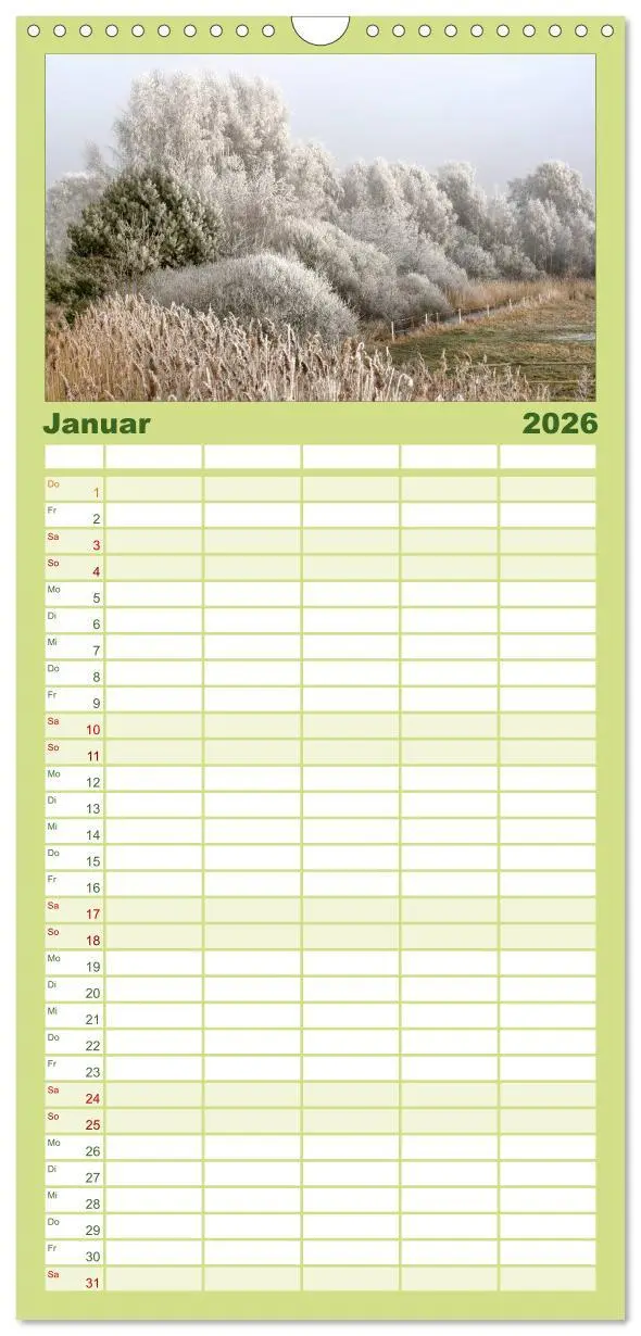 Bild: 9783516523256 | Familienplaner 2026 - Baum-Variationen mit 5 Spalten (Wandkalender,...