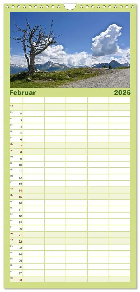 Bild: 9783516523256 | Familienplaner 2026 - Baum-Variationen mit 5 Spalten (Wandkalender,...