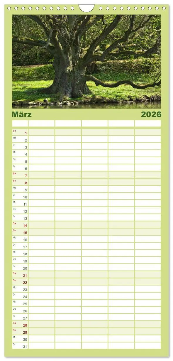 Bild: 9783516523256 | Familienplaner 2026 - Baum-Variationen mit 5 Spalten (Wandkalender,...