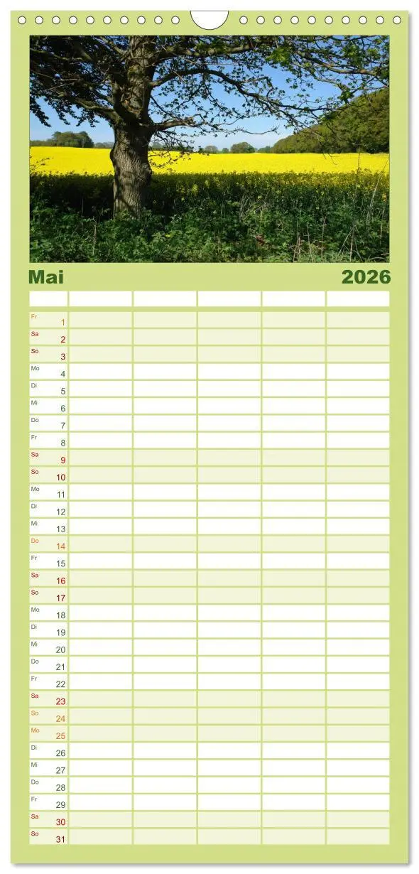 Bild: 9783516523256 | Familienplaner 2026 - Baum-Variationen mit 5 Spalten (Wandkalender,...