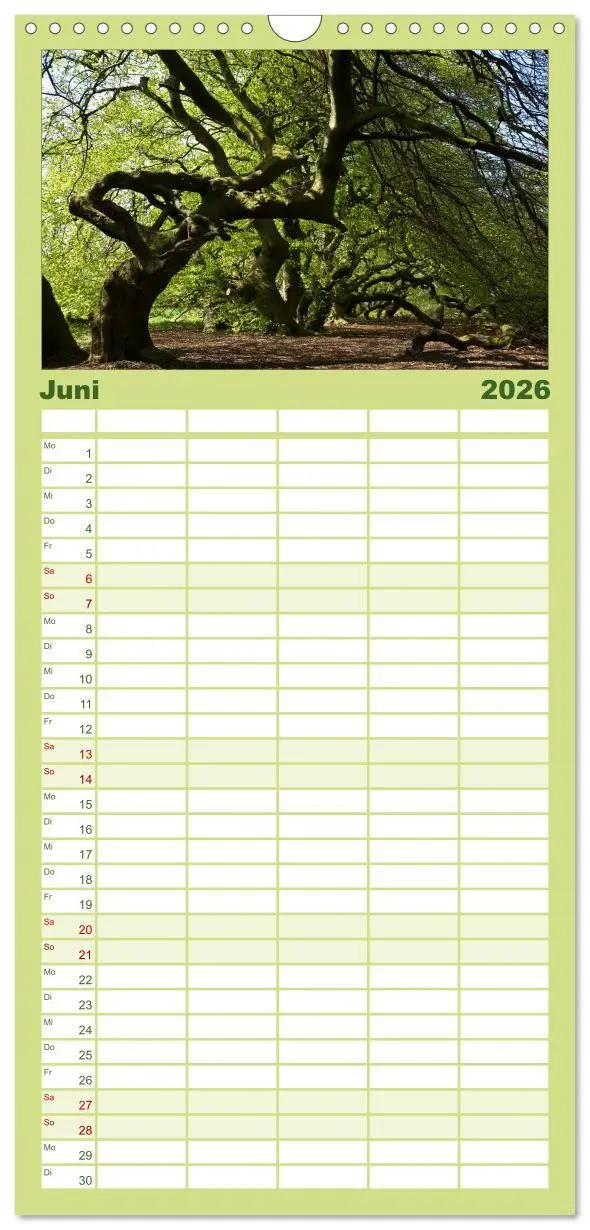 Bild: 9783516523256 | Familienplaner 2026 - Baum-Variationen mit 5 Spalten (Wandkalender,...