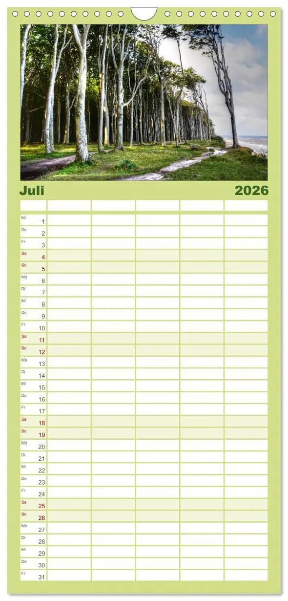 Bild: 9783516523256 | Familienplaner 2026 - Baum-Variationen mit 5 Spalten (Wandkalender,...