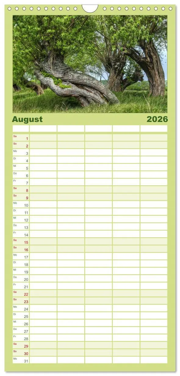 Bild: 9783516523256 | Familienplaner 2026 - Baum-Variationen mit 5 Spalten (Wandkalender,...