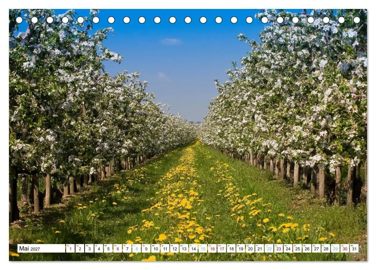 Bild: 9783516763256 | Das Alte Land- im Rhythmus der Jahreszeiten (Tischkalender 2027 DIN...