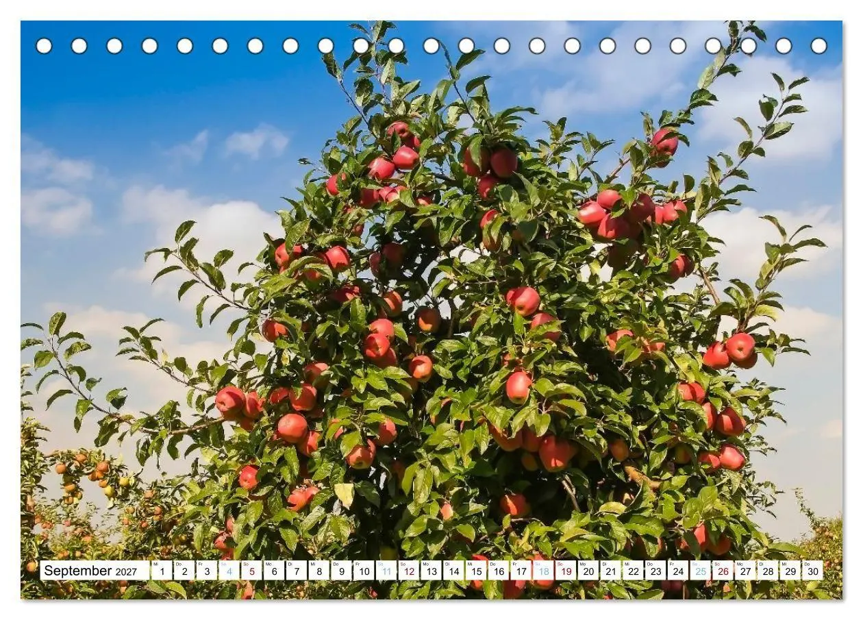 Bild: 9783516763256 | Das Alte Land- im Rhythmus der Jahreszeiten (Tischkalender 2027 DIN...