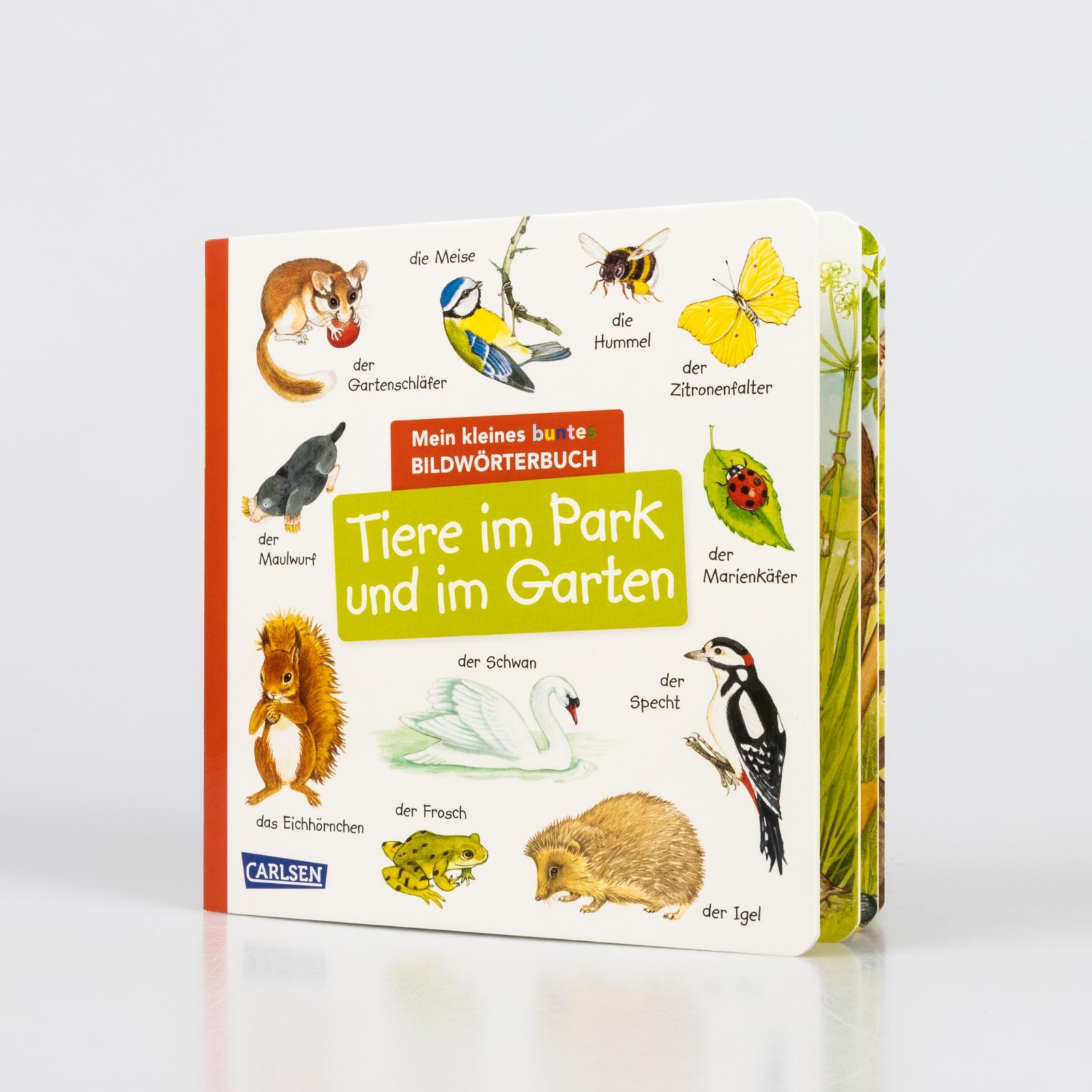 Bild: 9783551173256 | Mein kleines buntes Bildwörterbuch: Tiere im Park und im Garten | Buch