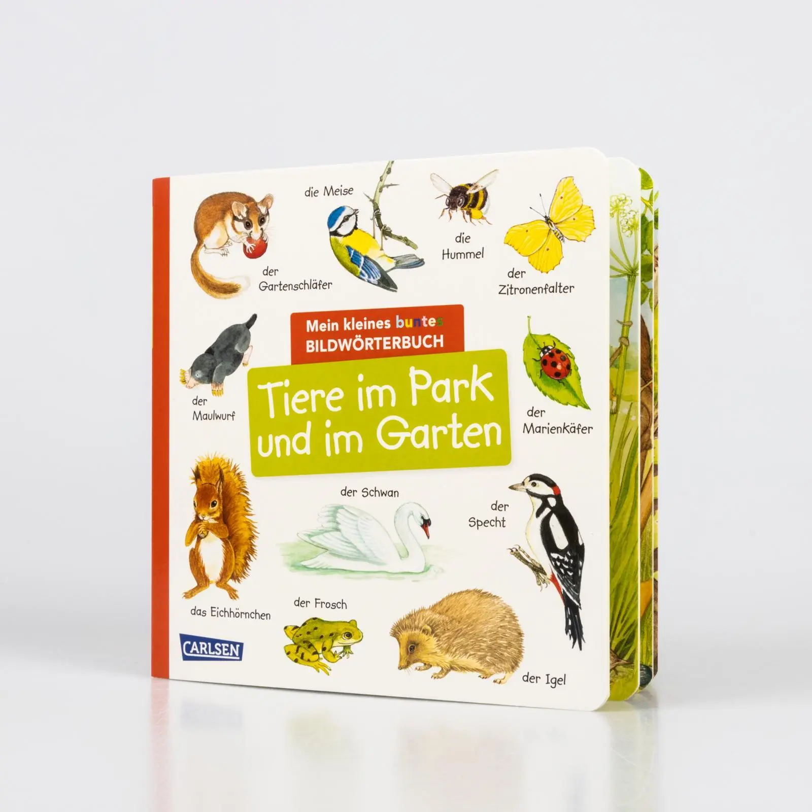 Bild: 9783551173256 | Mein kleines buntes Bildwörterbuch: Tiere im Park und im Garten | Buch