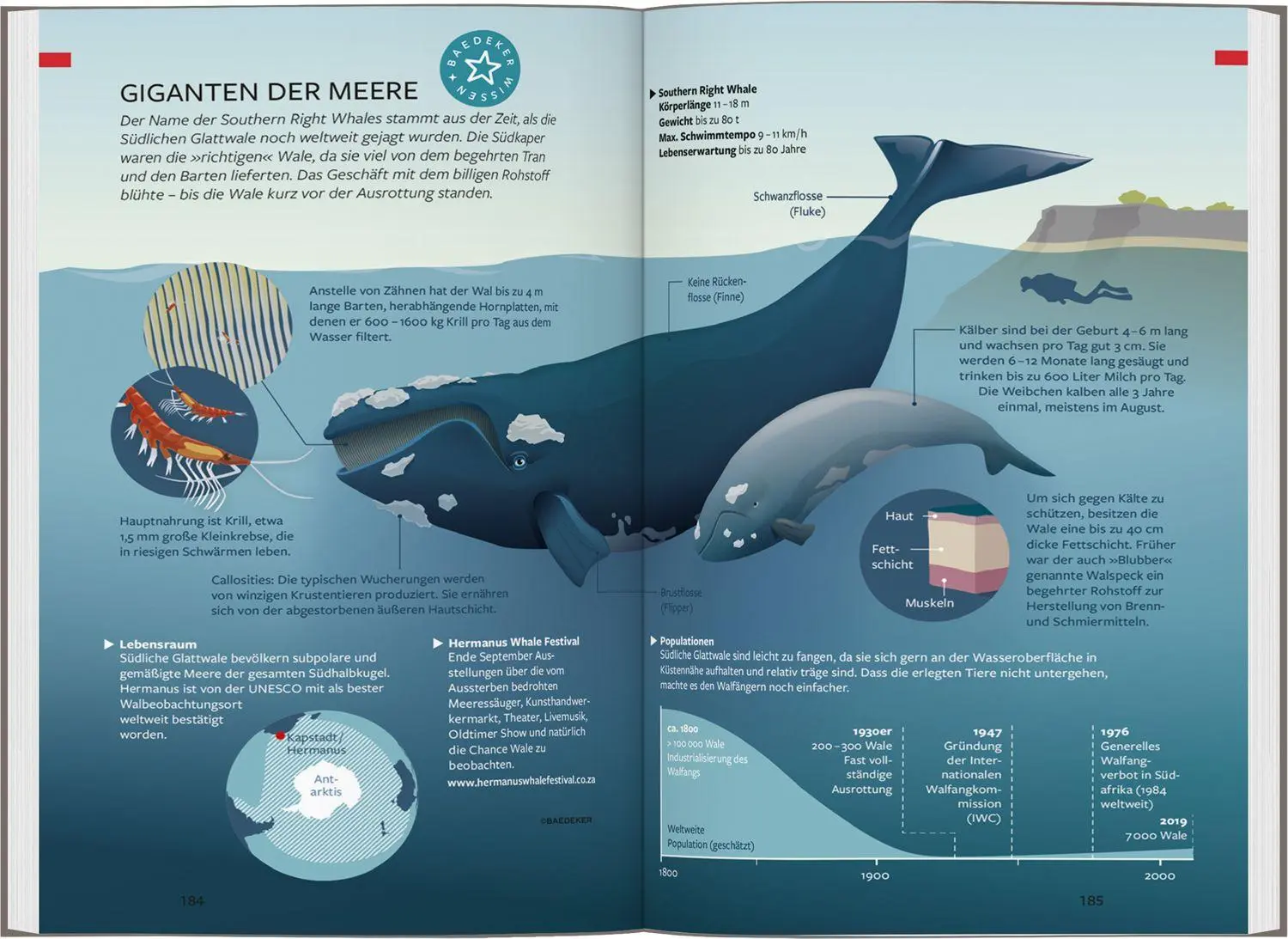 Bild: 9783575003256 | Baedeker Reiseführer Kapstadt, Garden Route | Daniela Schetar | Buch