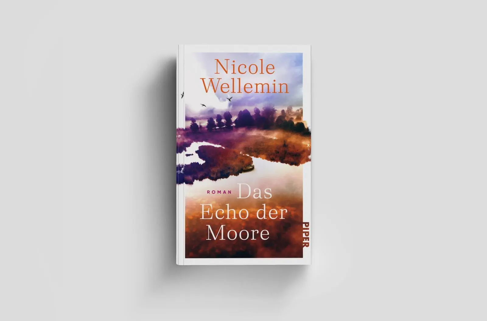 Bild: 9783492073356 | Das Echo der Moore | Nicole Wellemin | Buch | 352 S. | Deutsch | 2025