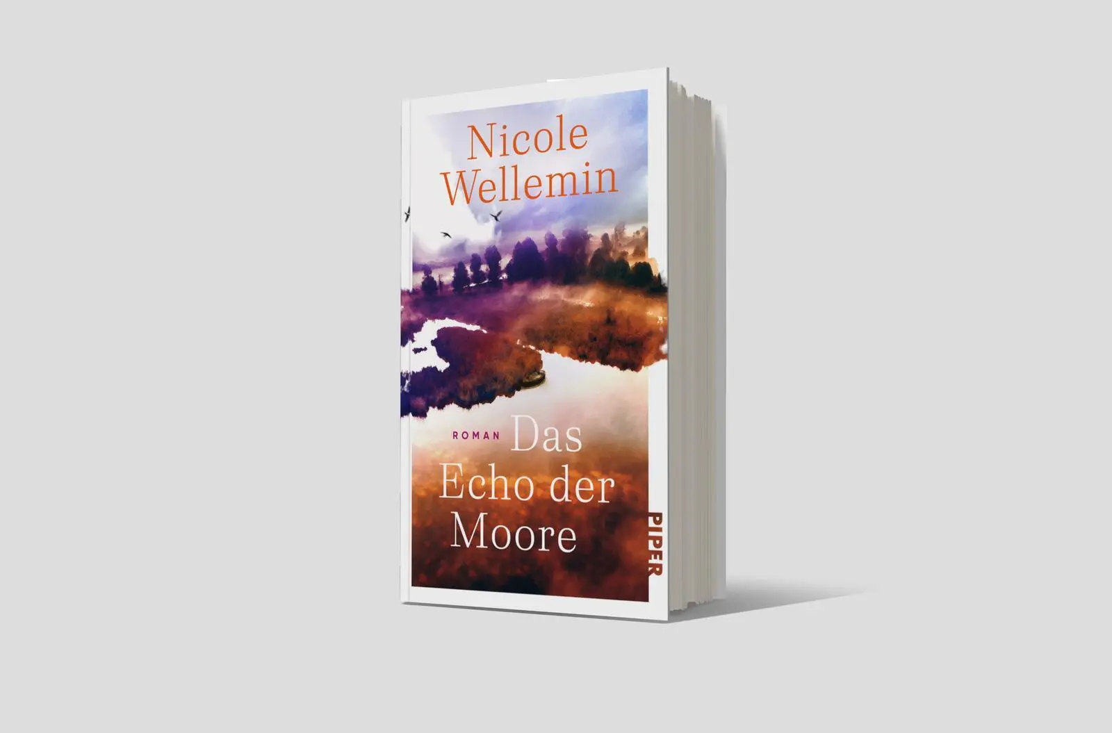 Bild: 9783492073356 | Das Echo der Moore | Nicole Wellemin | Buch | 352 S. | Deutsch | 2025