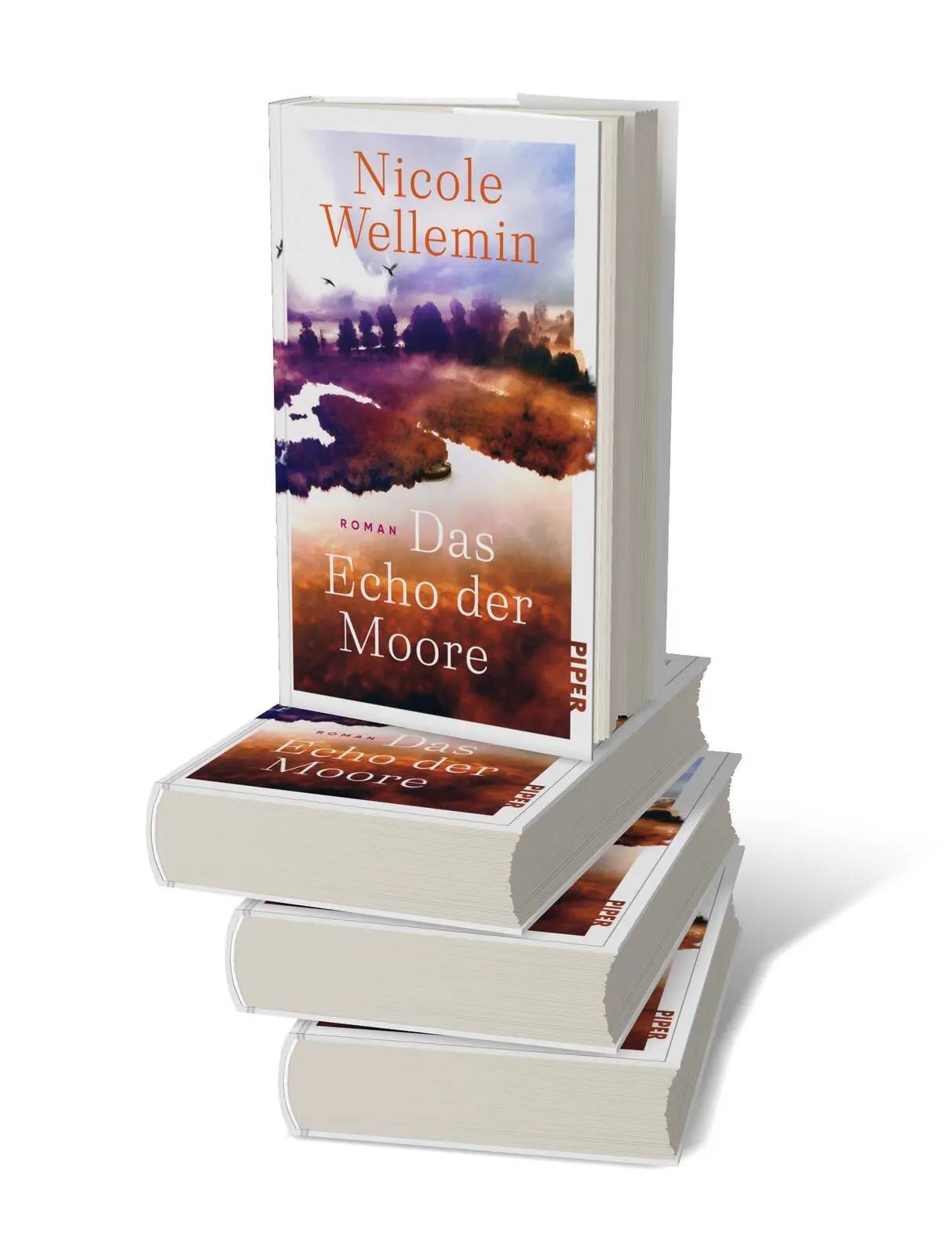 Bild: 9783492073356 | Das Echo der Moore | Nicole Wellemin | Buch | 352 S. | Deutsch | 2025