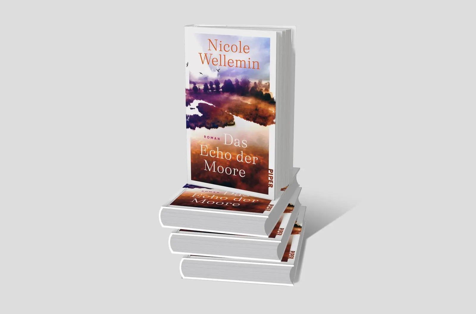 Bild: 9783492073356 | Das Echo der Moore | Nicole Wellemin | Buch | 352 S. | Deutsch | 2025