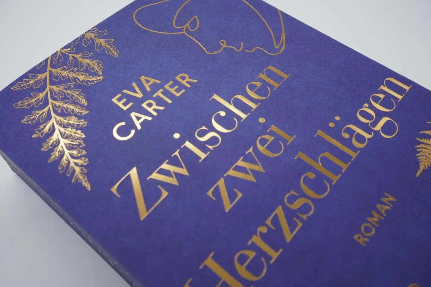 Bild: 9783499003356 | Zwischen zwei Herzschlägen | Roman | Eva Carter | Taschenbuch | 576 S.