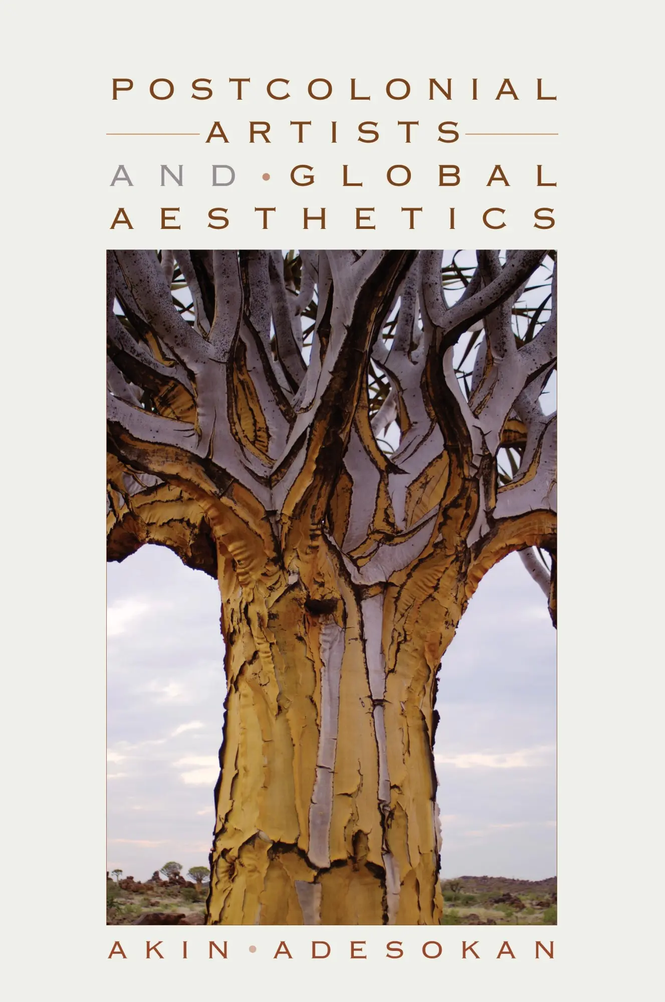 Cover: 9780253223456 | Postcolonial Artists and Global Aesthetics | Akinwumi Adesokan | Buch