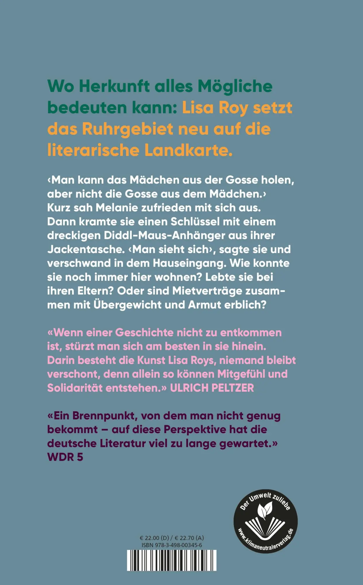 Rückseite: 9783498003456 | Keine gute Geschichte | Lisa Roy | Buch | 240 S. | Deutsch | 2023