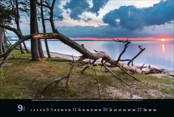 Bild: 9783731883456 | Meerblicke - Nord- und Ostsee 2026 | Verlag Korsch | Kalender | 14 S.