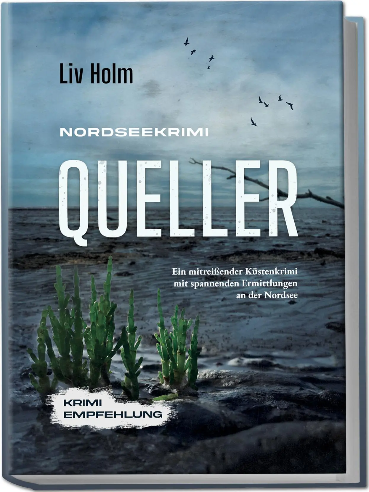 Cover: 9783757623456 | Nordseekrimi Queller | Küstenkrimi | Liv Holm | Taschenbuch | 104 S.