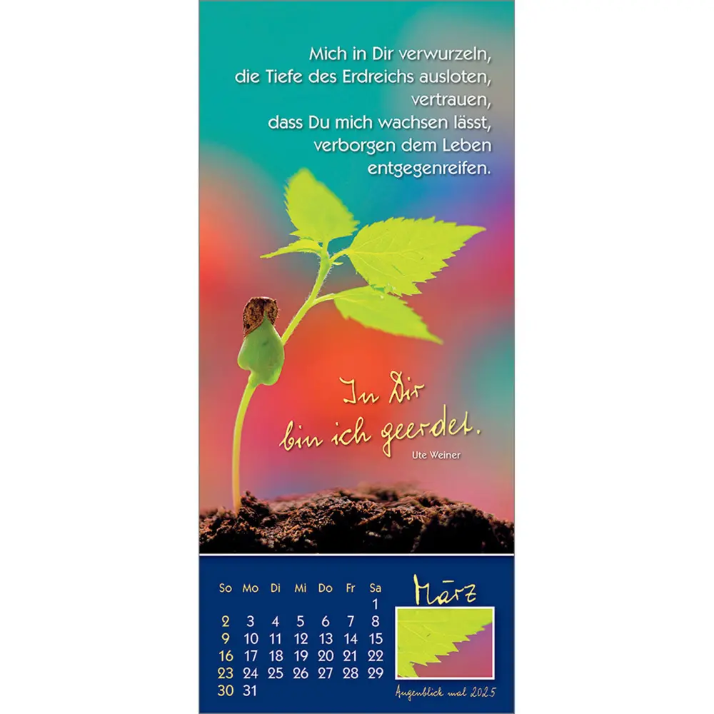 Bild: 9783754883556 | Augenblick mal 2025 | Der (kleine) Symbol-Kalender | Anke Will | 2025