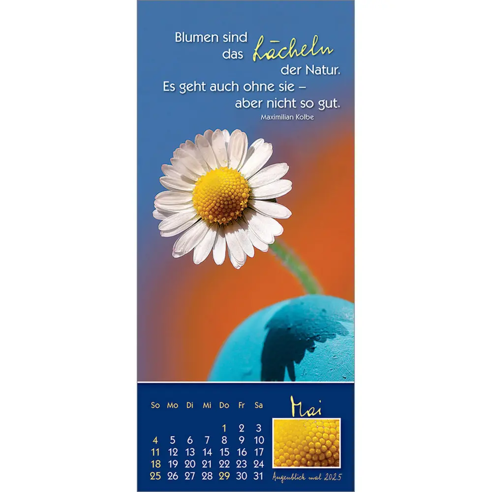 Bild: 9783754883556 | Augenblick mal 2025 | Der (kleine) Symbol-Kalender | Anke Will | 2025