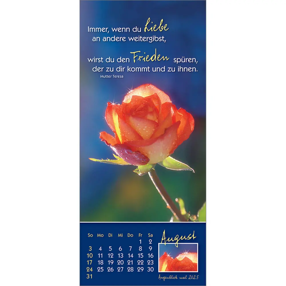 Bild: 9783754883556 | Augenblick mal 2025 | Der (kleine) Symbol-Kalender | Anke Will | 2025