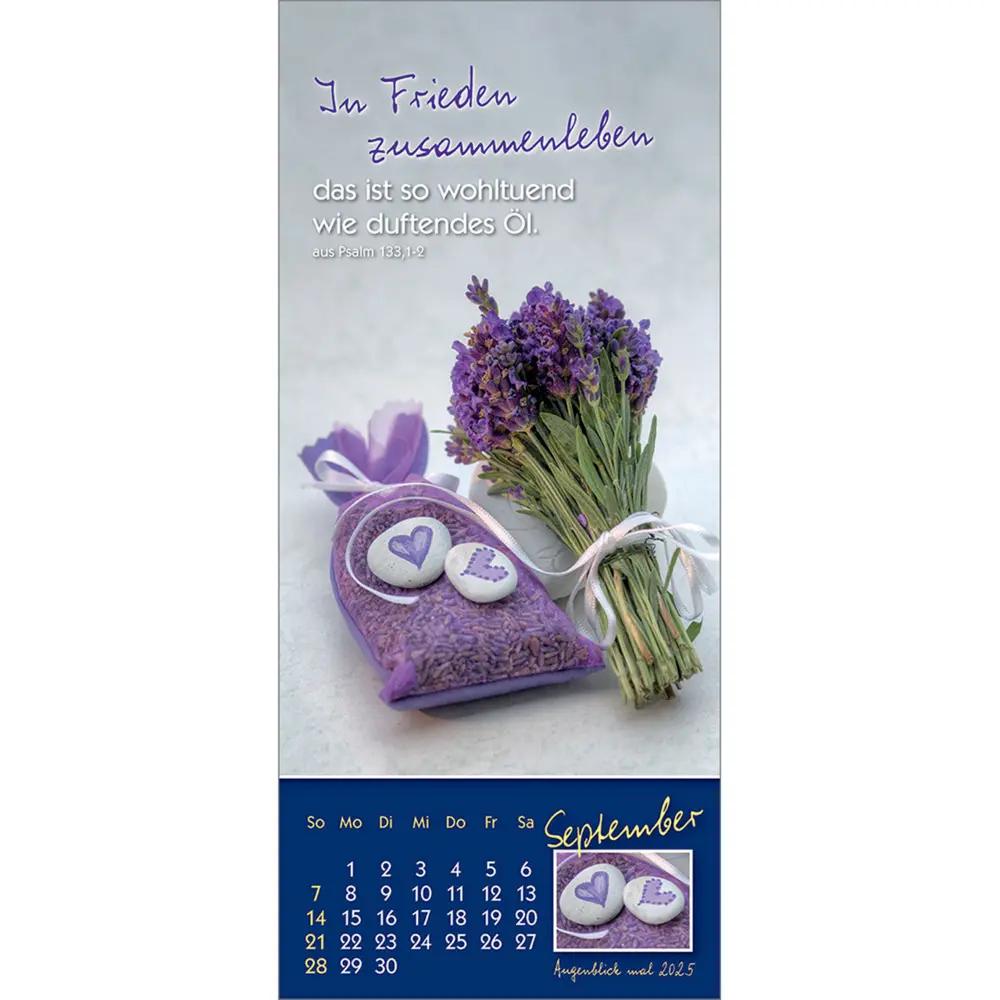 Bild: 9783754883556 | Augenblick mal 2025 | Der (kleine) Symbol-Kalender | Anke Will | 2025