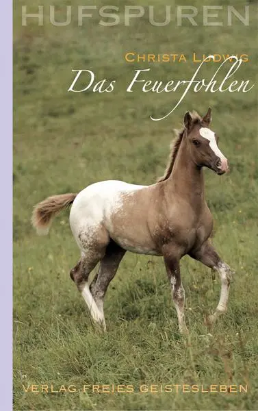 Cover: 9783772523656 | Hufspuren. Das Feuerfohlen | Christa Ludwig | Buch | Hufspuren | 2010