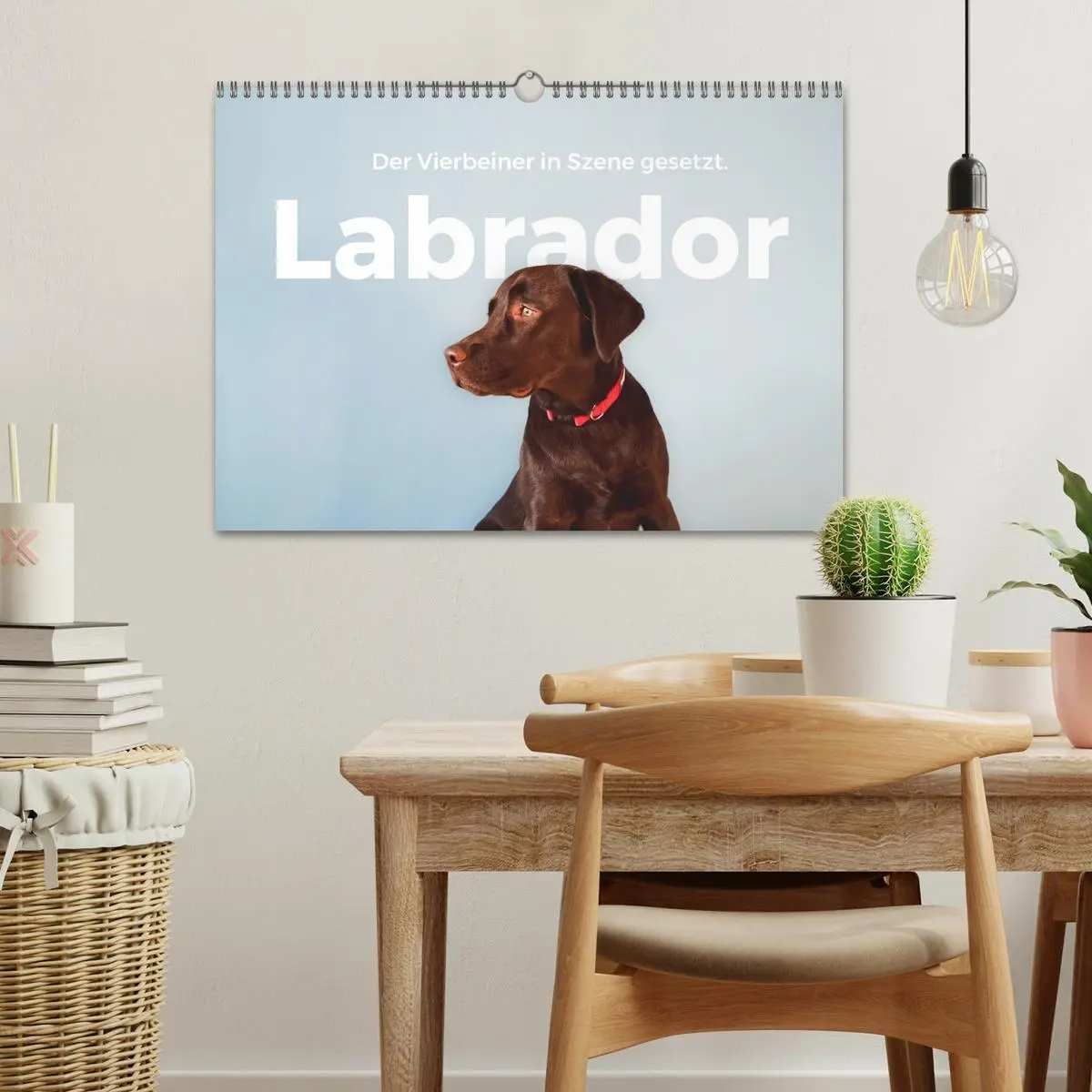 Bild: 9783457553756 | Labrador - Der Vierbeiner in Szene gesetzt. (Wandkalender 2026 DIN...