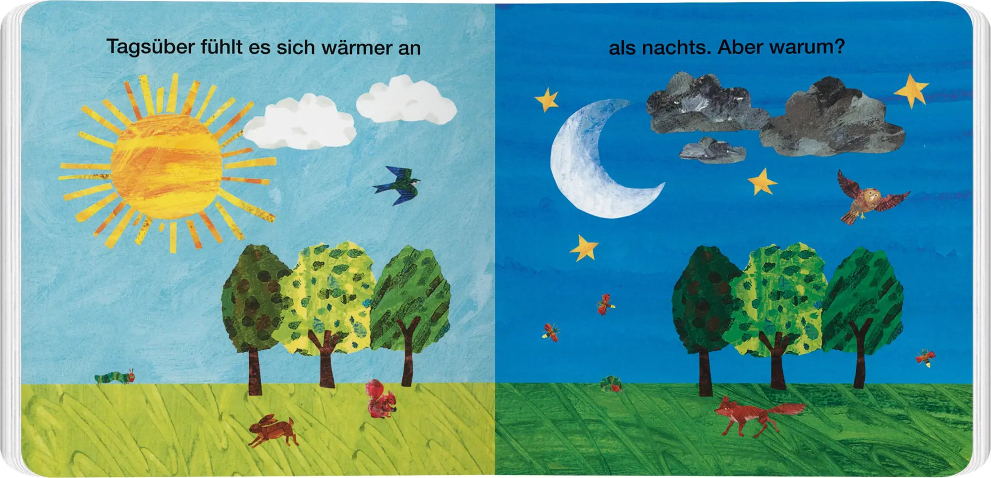 Bild: 9783836963756 | Warum ist es warm und kalt? | Erklär mir das, kleine Raupe Nimmersatt!