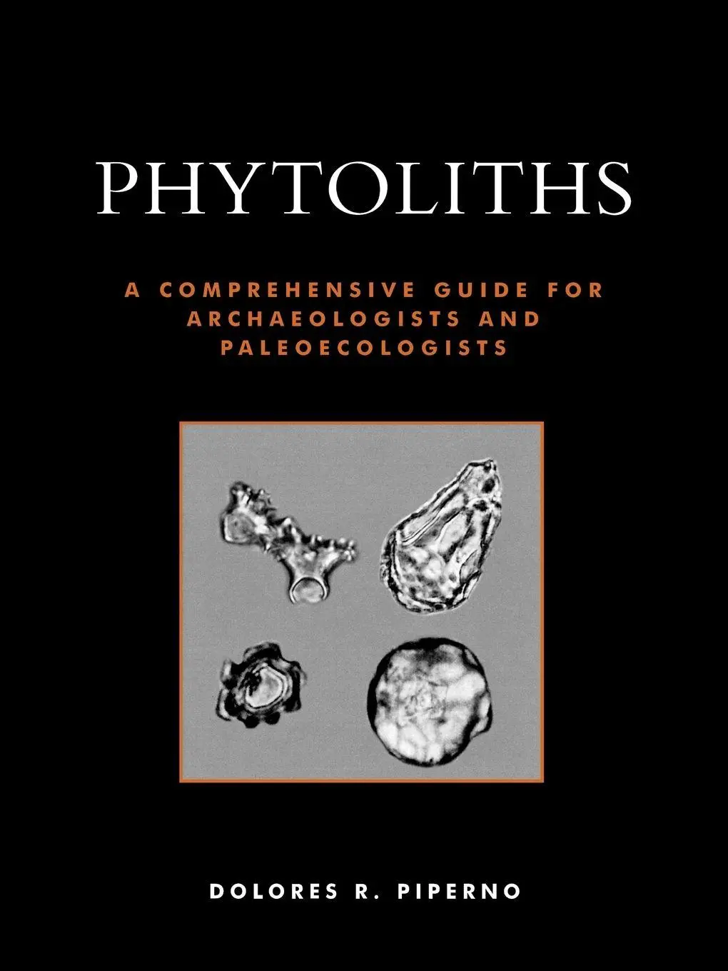 Cover: 9780759103856 | Phytoliths | Dolores R. Piperno | Taschenbuch | Englisch | 2006