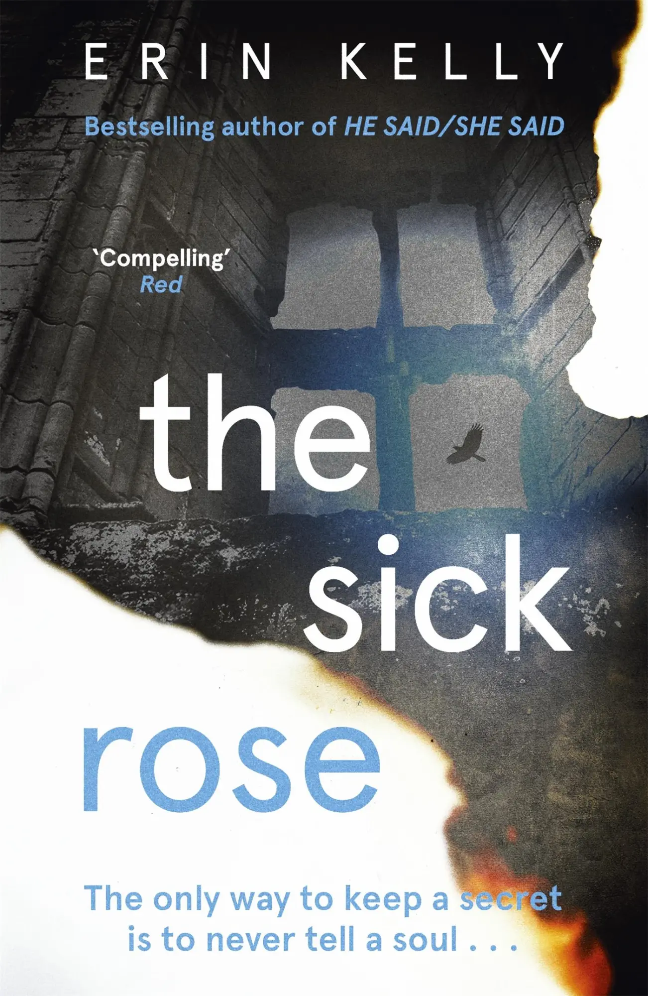 Cover: 9781444703856 | The Sick Rose | Erin Kelly | Taschenbuch | Kartoniert / Broschiert