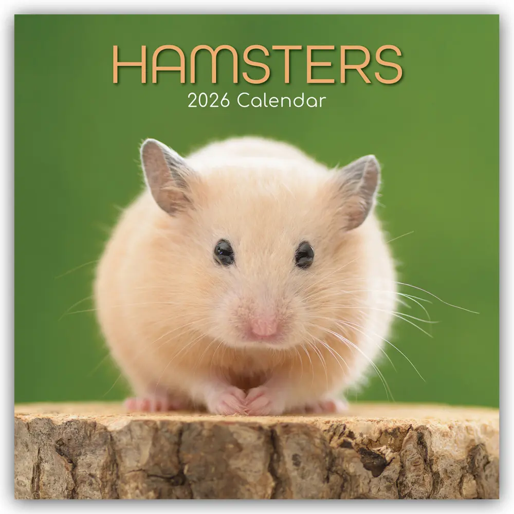 Cover: 9781836223856 | Hamsters - Hamster 2026 - 16-Monatskalender | Ltd | Kalender | 14 S.