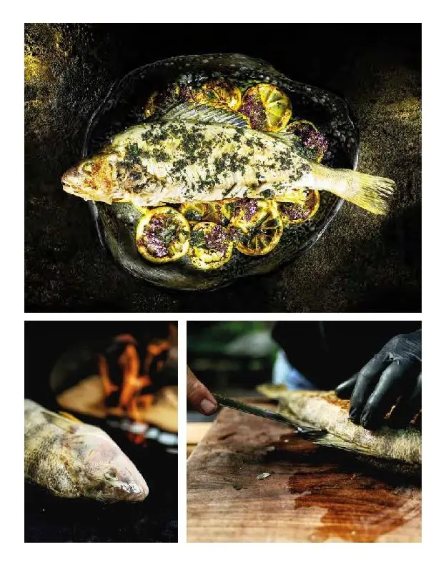 Bild: 9783966643856 | Wild gegrillt | Tom Heinzle | Buch | 176 S. | Deutsch | 2022