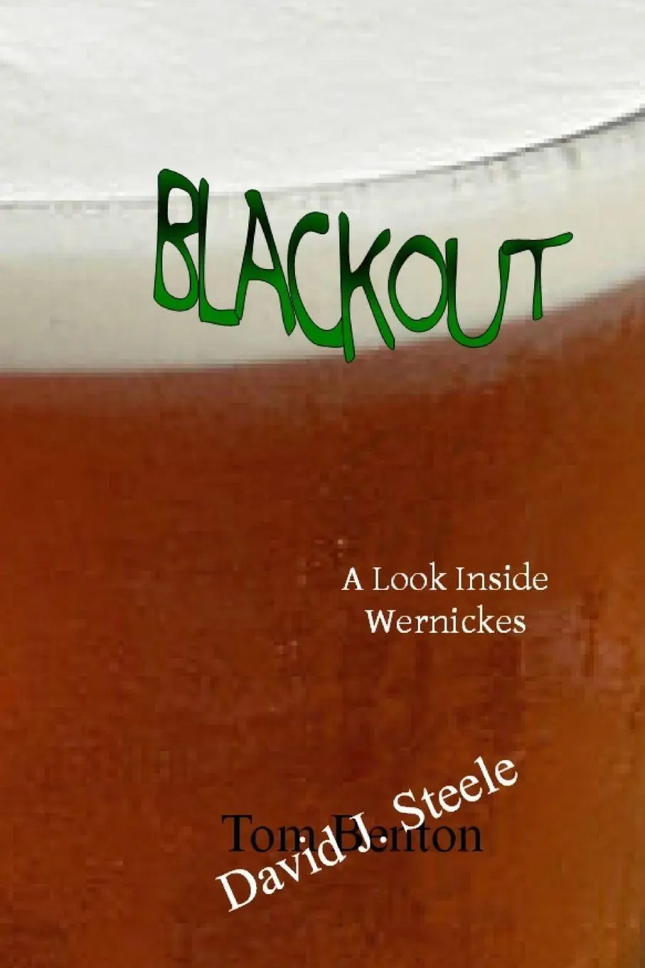 Cover: 9781105043956 | Blackout | A Look Inside Wernickes | David J. Steele | Taschenbuch