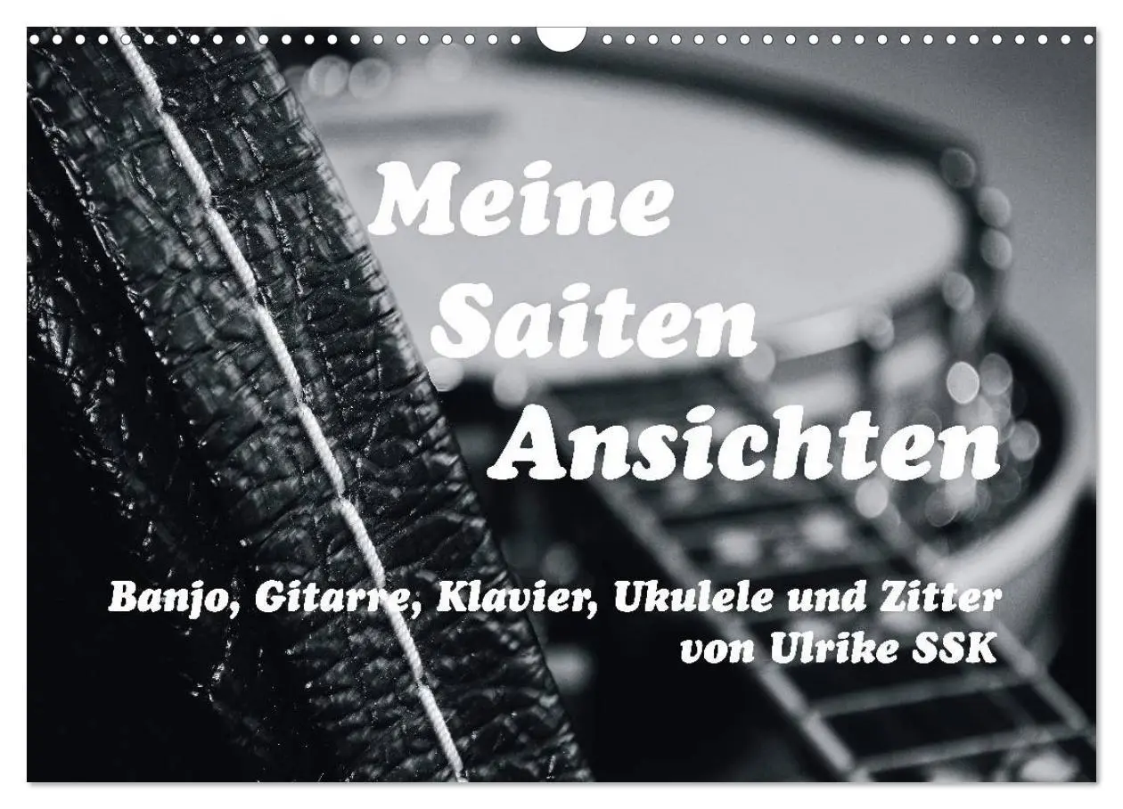 Cover: 9783516003956 | Meine Saiten Ansichten - Banjo, Gitarre, Klavier, Ukulele und...