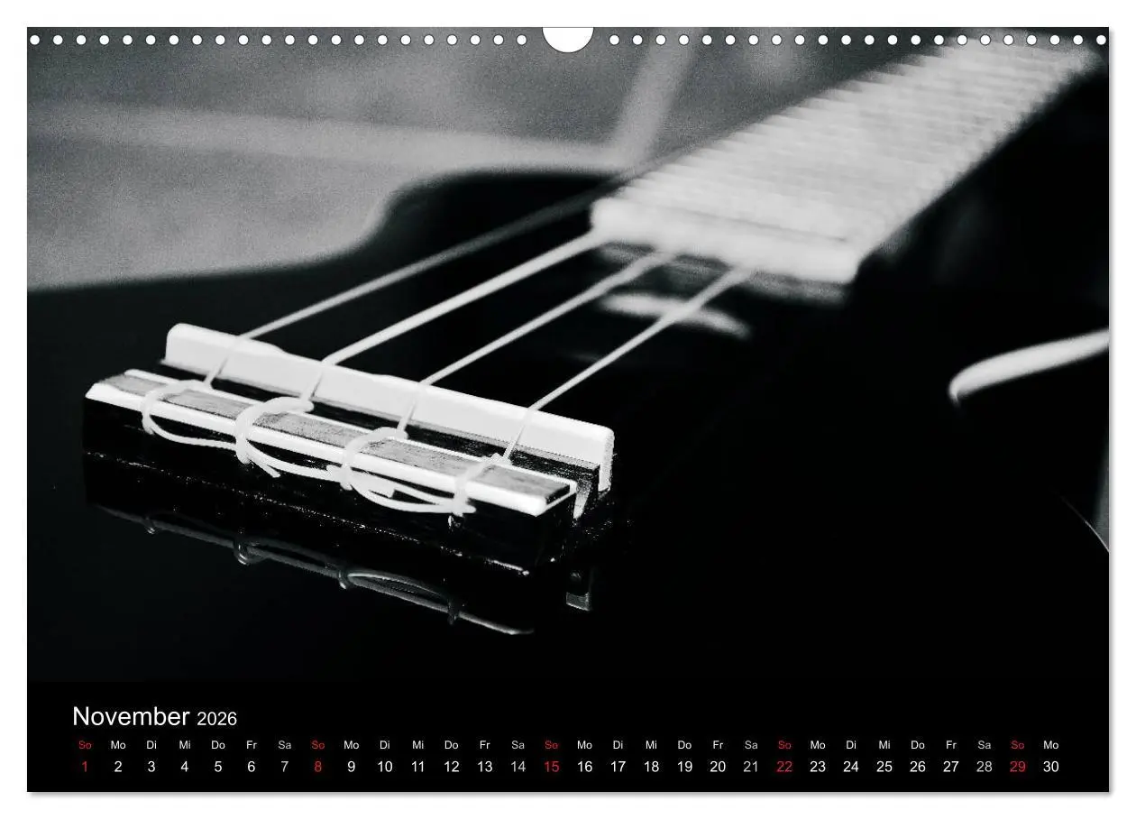 Bild: 9783516003956 | Meine Saiten Ansichten - Banjo, Gitarre, Klavier, Ukulele und...