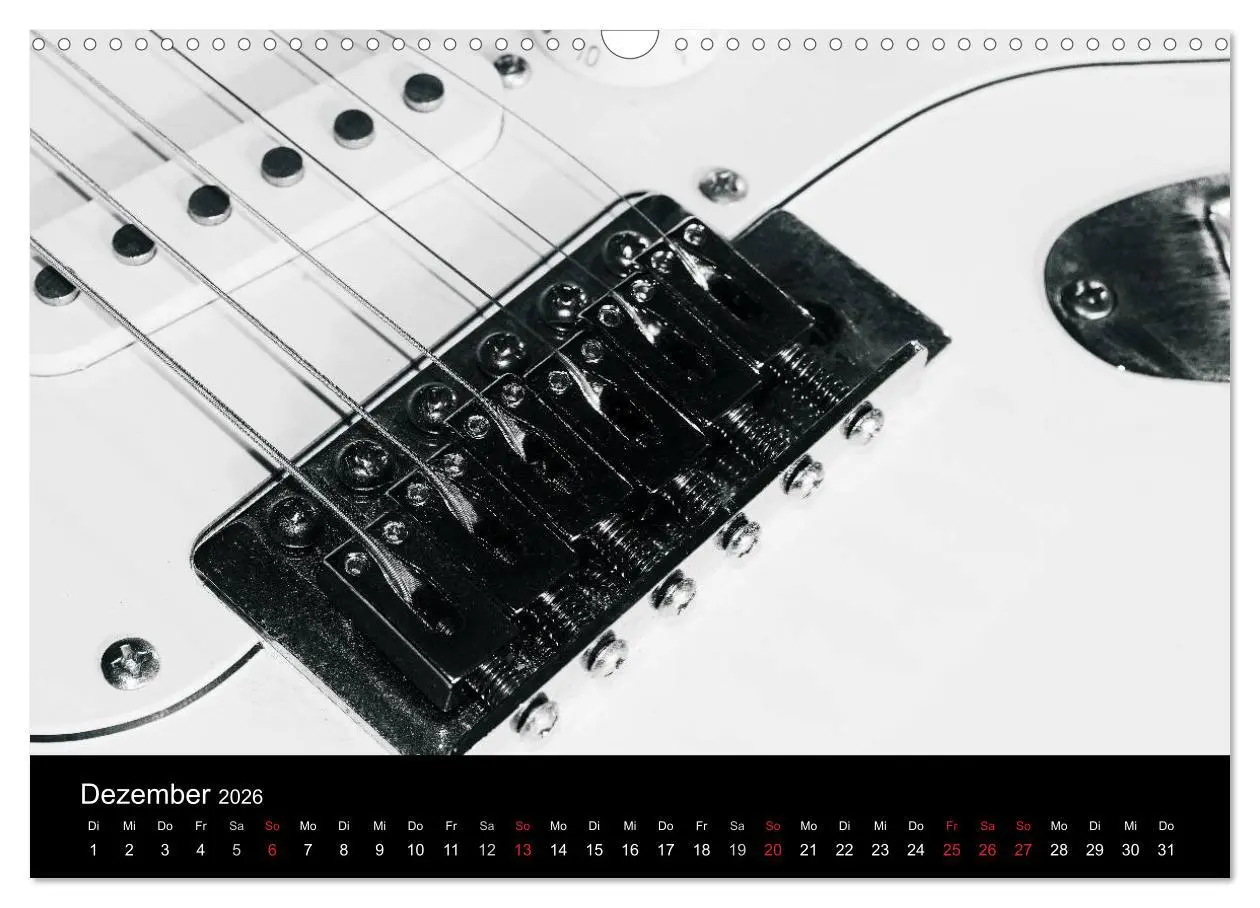 Bild: 9783516003956 | Meine Saiten Ansichten - Banjo, Gitarre, Klavier, Ukulele und...