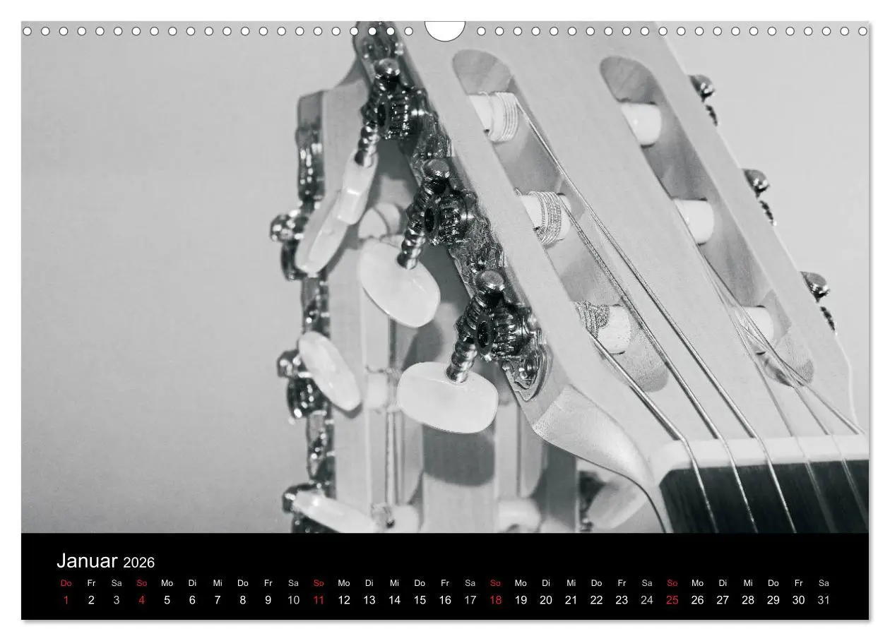 Bild: 9783516003956 | Meine Saiten Ansichten - Banjo, Gitarre, Klavier, Ukulele und...