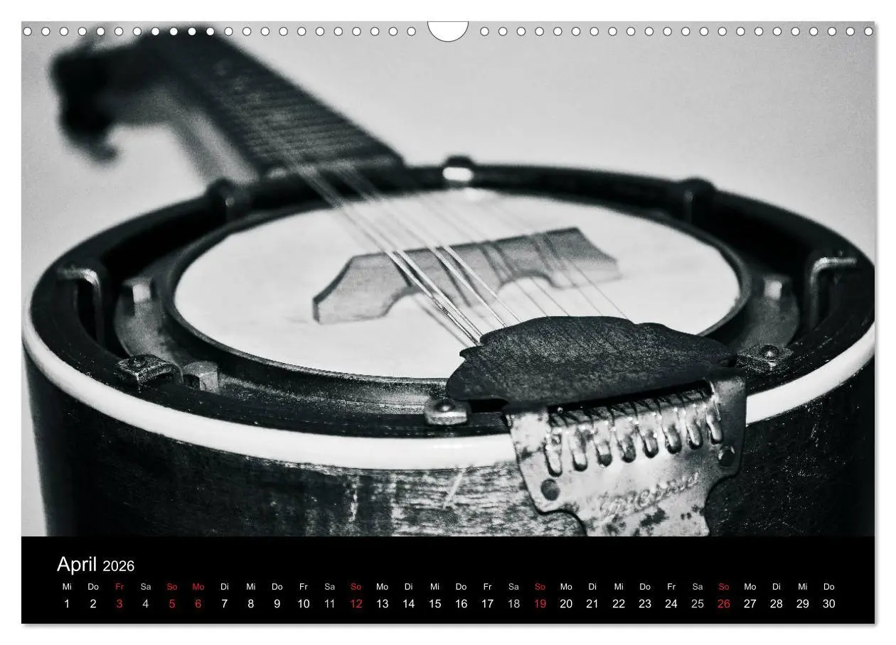Bild: 9783516003956 | Meine Saiten Ansichten - Banjo, Gitarre, Klavier, Ukulele und...