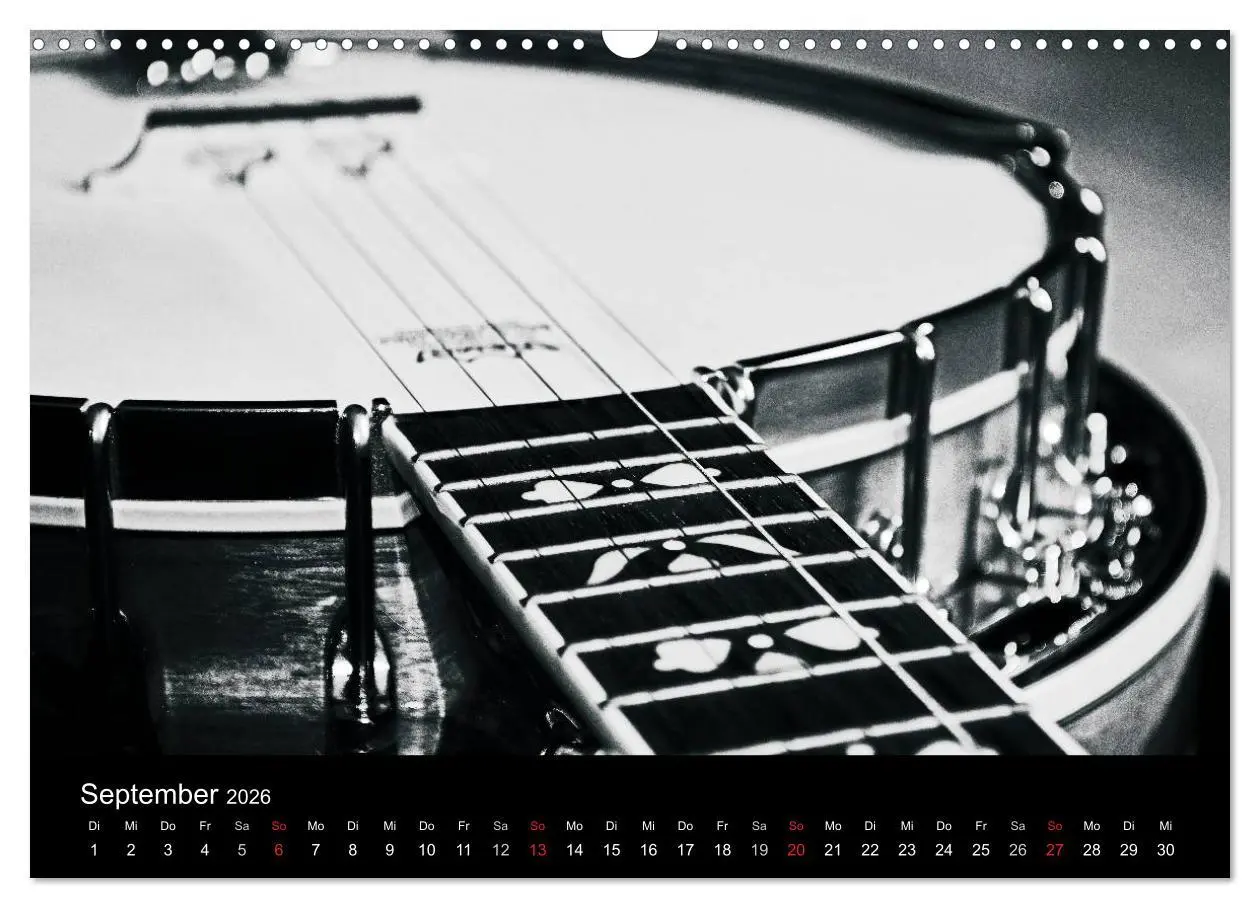 Bild: 9783516003956 | Meine Saiten Ansichten - Banjo, Gitarre, Klavier, Ukulele und...