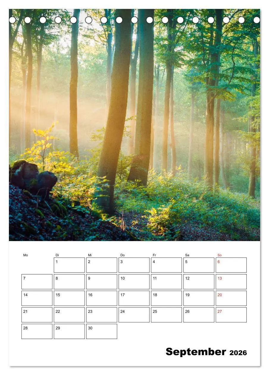 Bild: 9783516483956 | Usedom - Inseltraum im Norden (Tischkalender 2026 DIN A5 hoch),...