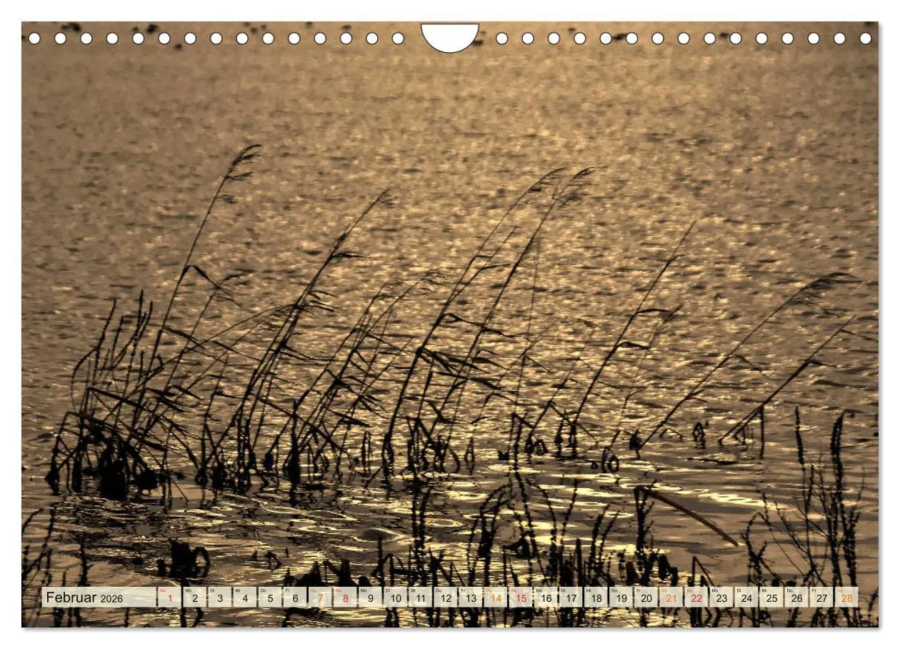 Bild: 9783457734056 | Landschaft an der Wümme (Wandkalender 2026 DIN A4 quer), CALVENDO...