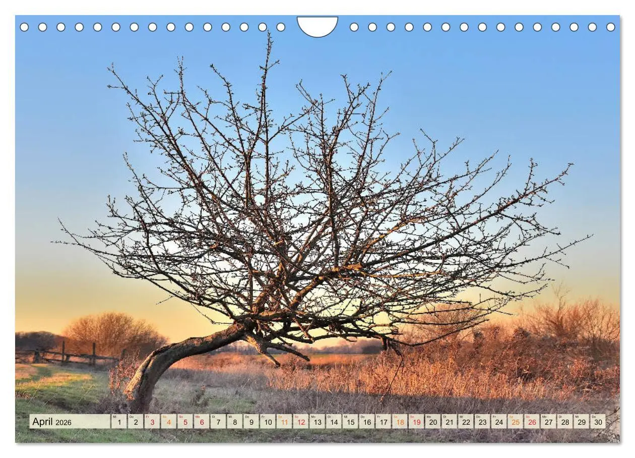 Bild: 9783457734056 | Landschaft an der Wümme (Wandkalender 2026 DIN A4 quer), CALVENDO...