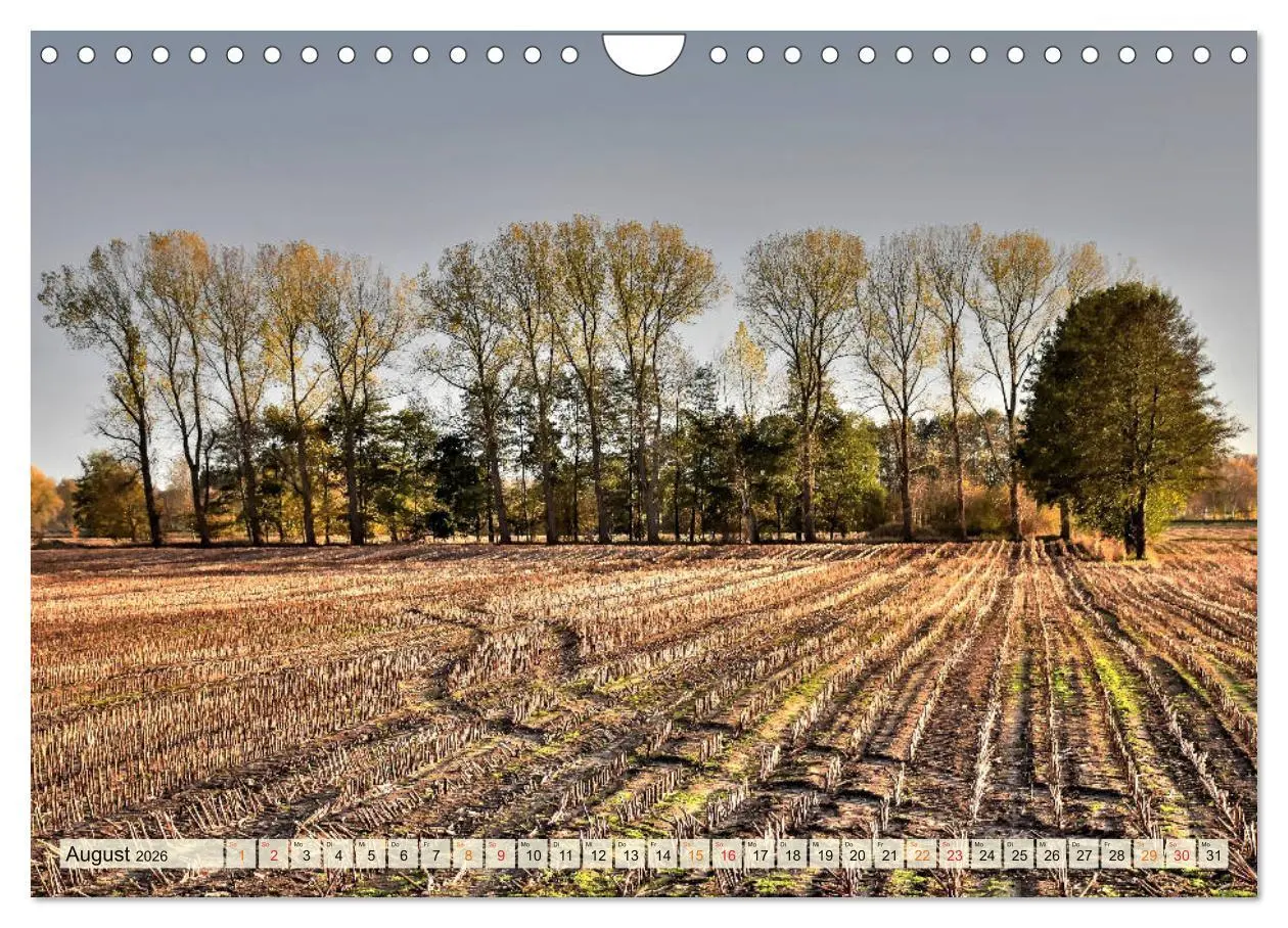 Bild: 9783457734056 | Landschaft an der Wümme (Wandkalender 2026 DIN A4 quer), CALVENDO...